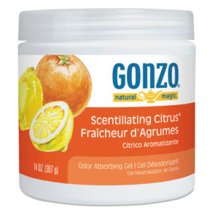 Natural Magic® Odor Absorbing Gel