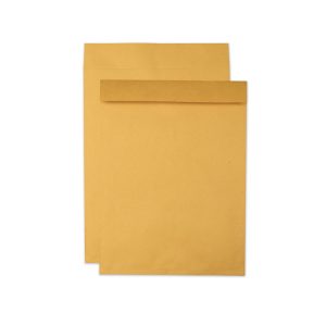 Quality Park™ Jumbo Size Kraft Envelope