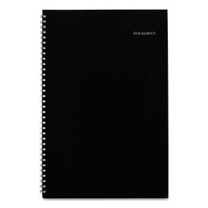 AT-A-GLANCE® DayMinder® Monthly Planner